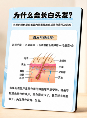 为什么会长白头发科普装饰摆件养发馆理发店前台桌面展示立牌