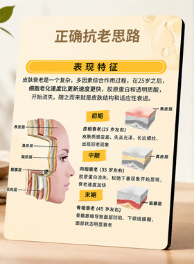 正确抗老思路科普摆台美容院皮肤管理门店桌面装饰摆件
