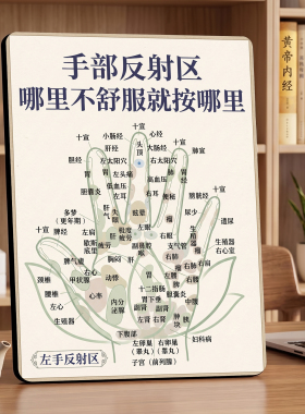 手部反射区养生科普美容院店内展示桌面摆件