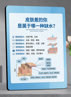 皮肤分层缺水科普 美容院皮肤管理桌面摆件项目宣传