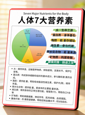 人体7大营养素美容院店内宣传桌面摆件