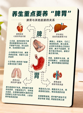 养生重点要养脾胃知识科普装饰摆件居家桌面立式摆牌