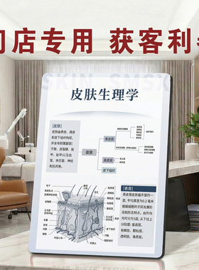 皮肤生理学美容院店内展示桌面摆件获客利器