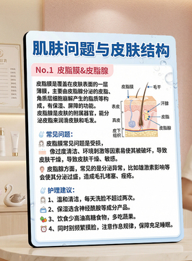 美容院肌肤问题科普装饰摆件美业门店前台软装展示立牌