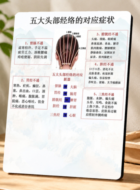 中医养生馆理疗店五大头部经络对应症状科普展示装饰摆件