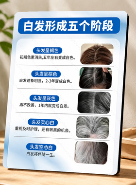 养发馆白发形成五个阶段科普展示牌养发门店前台装饰摆件