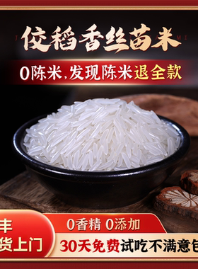 佼稻香猫牙香米2025新米丝苗长粒香大米泰国稻种煲仔饭蛋炒饭米