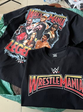 刺绣 WWE摔角狂热 传奇选手群像 美式Vintage男女夏薄透气t恤短袖