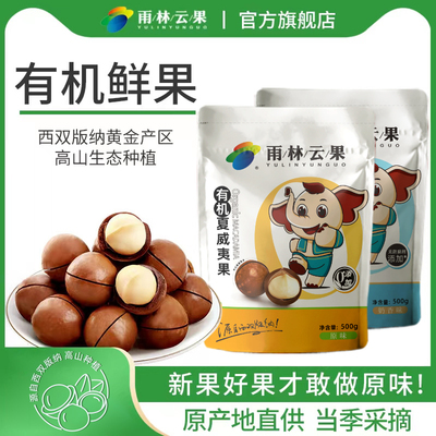 [雨林云果]2025年夏威夷果500g奶香味/原味干果 孕妇 坚果零食