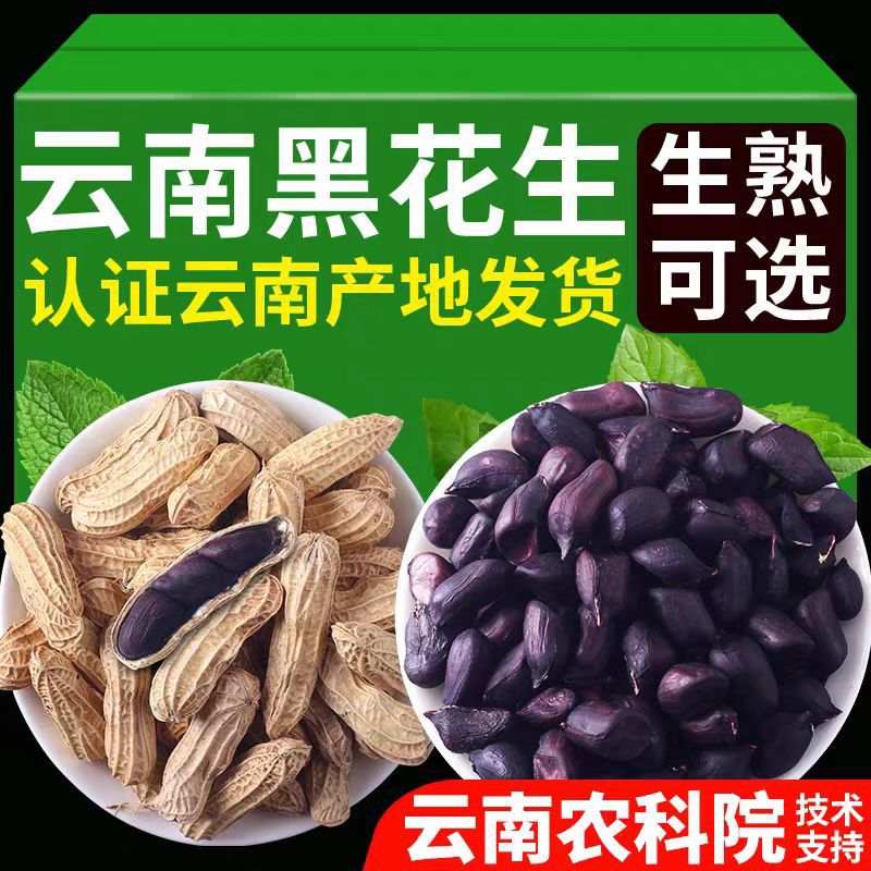 农科院云南黑花生新货带壳生的炒熟普洱特产富黑皮硒花生米富硒