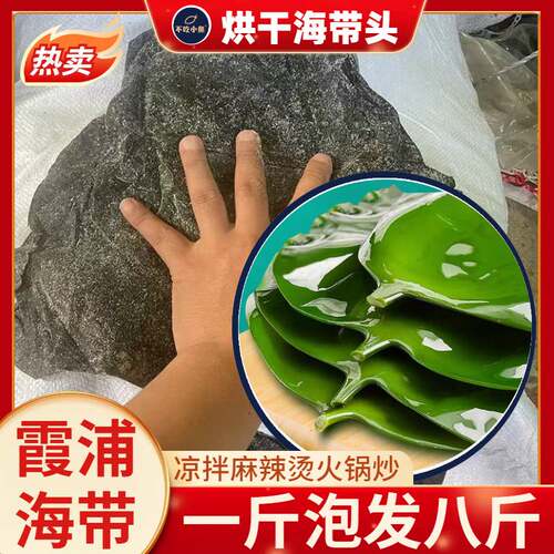 烘干海带头巨厚大叶赶集摆摊干货