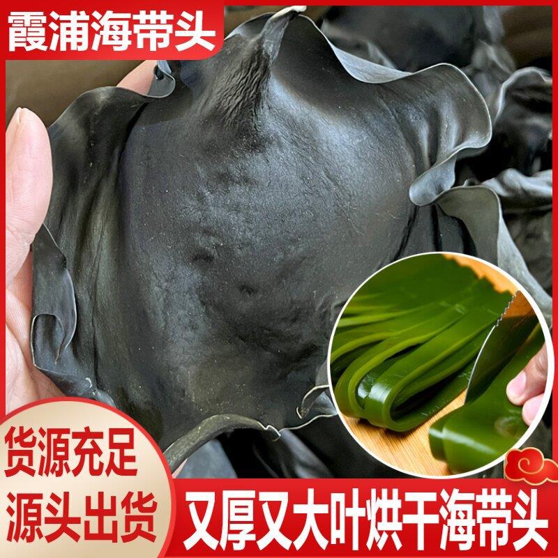 烘干海带头霞浦海带片条商用干货火锅麻辣烫串串食材干海带头厚皮图片