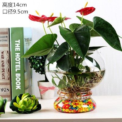 简约欧式透明玻璃花瓶水培绿萝花盆鱼缸水养植物客厅摆件插花器皿