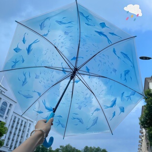 水族馆联名透明水母鲸鱼雨伞坚固抗风轻量高颜值学生长柄拍照女