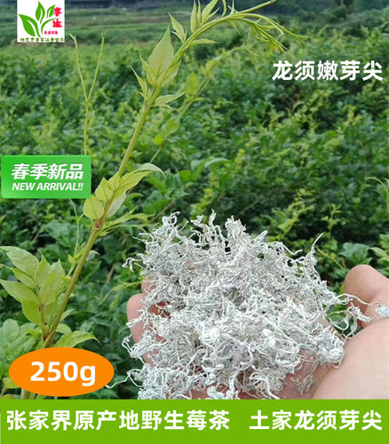 张家界土特产莓茶特级野生龙须芽尖长寿村500g茅岩河永顺土家藤茶