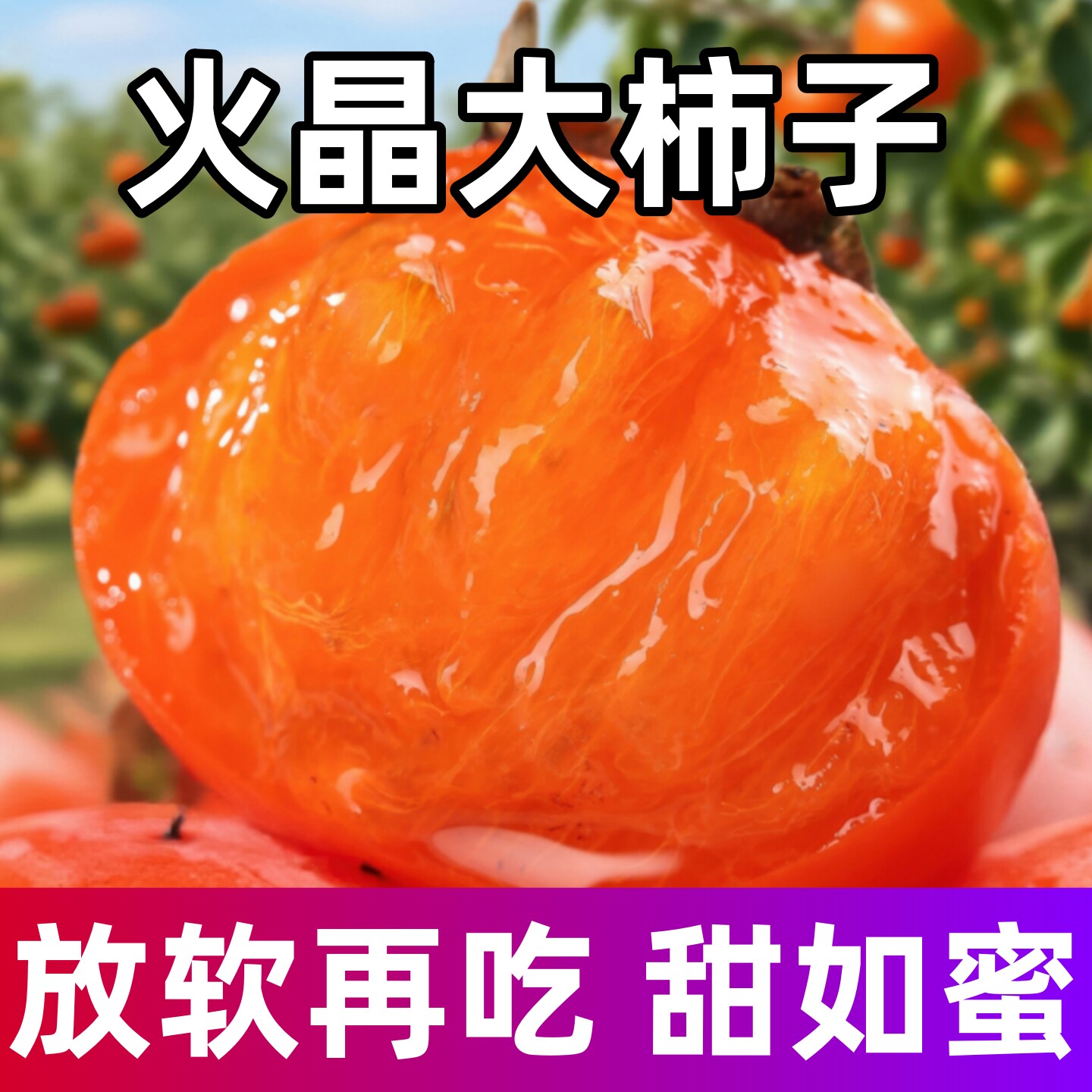 【官方旗舰店推荐】正宗火晶柿子