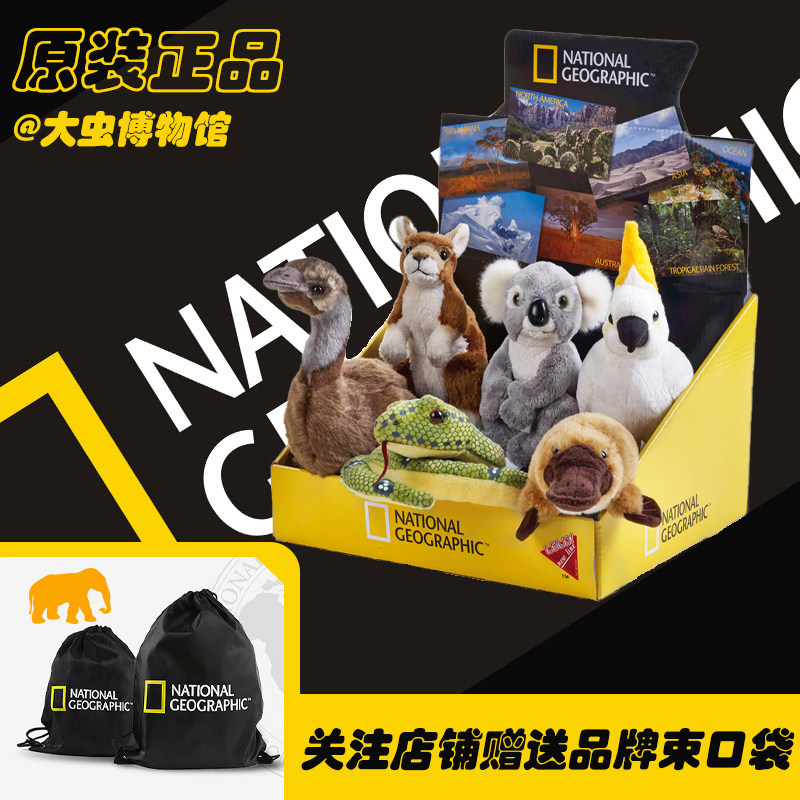国家地理毛绒玩具澳洲袋鼠蛇鸭嘴兽礼物迷你考拉鹦鹉蟒蛇早教公仔
