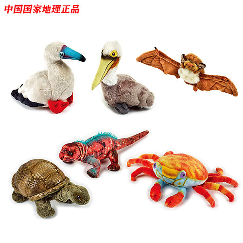 中国国家地理象龟蝙蝠螃蟹鹈鹕