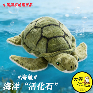 国家地理仿真动物毛绒玩具海洋海龟可爱萌礼物女生抱枕公仔早教