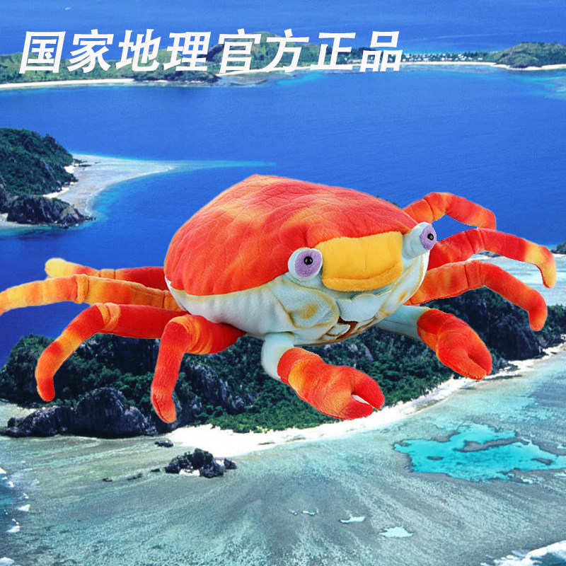 全新正品中国国家地理仿真毛绒玩具加拉帕戈斯动物红石蟹网红礼物,玩具/童车/益智/积木/模型,毛绒/玩偶/公仔/布艺类玩具,淘宝优惠券,粉丝福利购,淘宝优惠卷