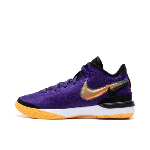 Nike Zoom LeBron NXXT Gen DR8788-500 M广东BB下单请看详情页W