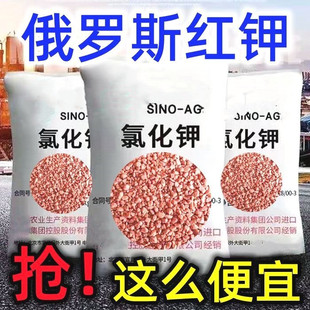 正宗红钾肥俄罗斯氯化钾通用化肥农用纯钾叶面肥蔬菜果树花卉肥料