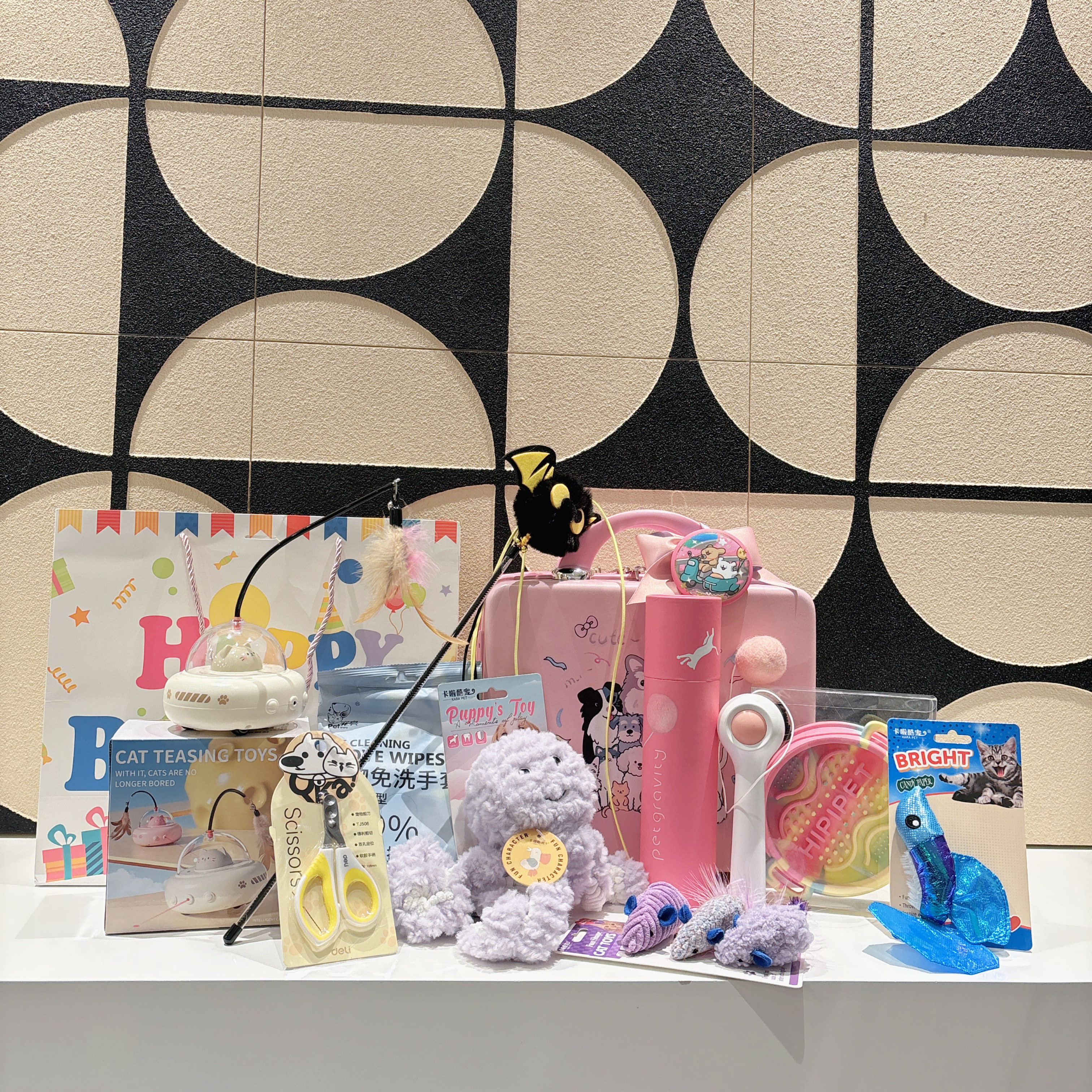 宠物生日伴手礼宠物猫咪周岁生日礼品宠物十岁生日礼品