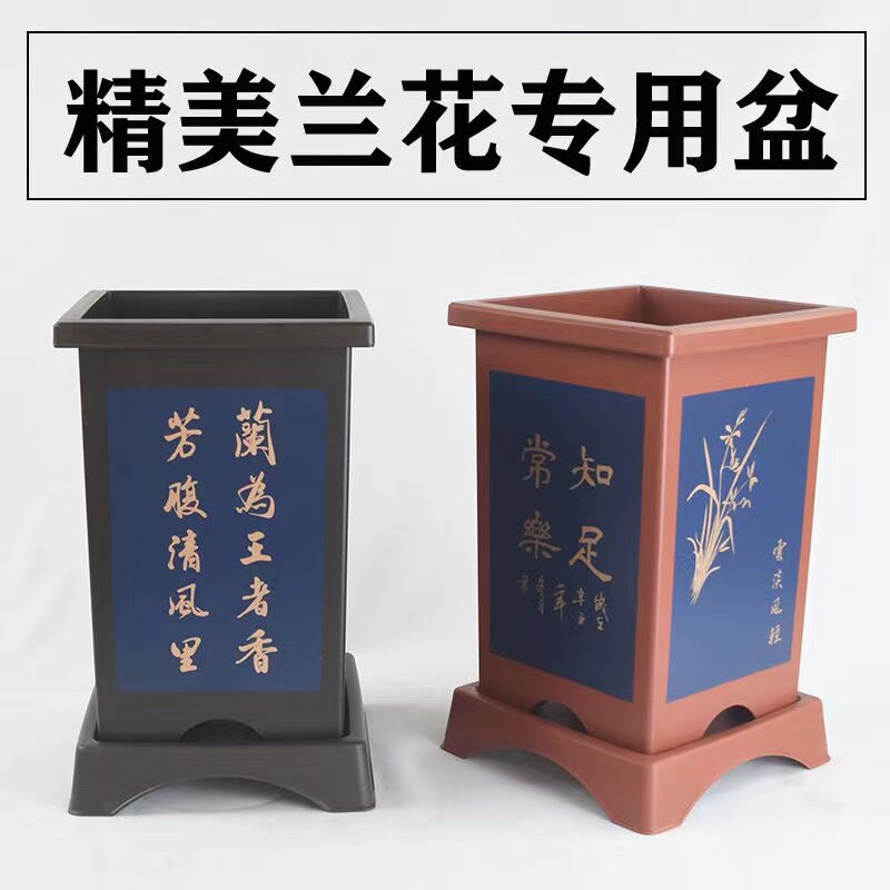 塑料古典兰花专用花盆图片