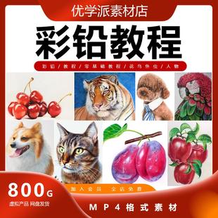 入门零基础课程彩铅教程花鸟鱼虫人物自学教学网课视频教程素材