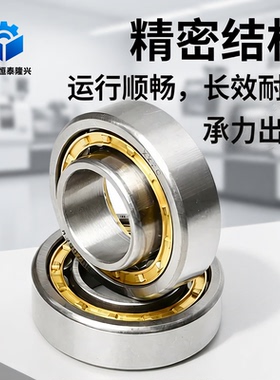 圆柱滚子轴承NJ215 216 217 218 219 220 221 222 224 226 228EM