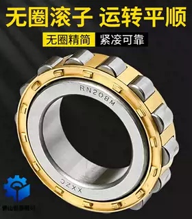 无外圈圆柱滚子轴承RN204M RN205EM 206 207 208 209M