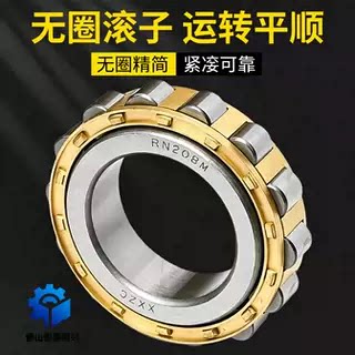 无外圈圆柱滚子轴承RN204M RN205EM 206 207 208 209M