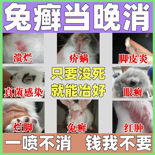 兔子皮肤病专用药兔癣真菌感染脚皮炎耳朵脱毛掉毛药杀菌特效喷雾