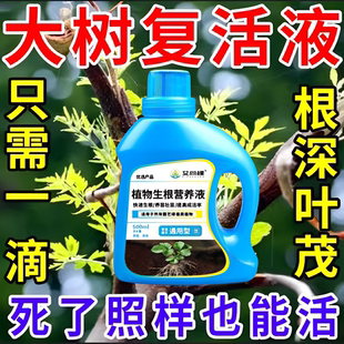 生根剂药水大树复活营养液枯树再生果树木移栽花卉植物扦插通用型