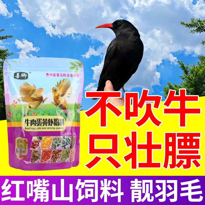 红嘴山鸦饲料白颈乌鸦松鸦亮毛增肥提性壮膘通用颗粒高钙营养鸟料
