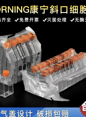 CORNING 康宁正方形带透气盖斜口细胞瓶 无菌无酶 25CM² 430639