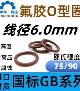 进口氟胶O令内径18-560mm*6.0 O型圈FKMo形圈FPM密封圈