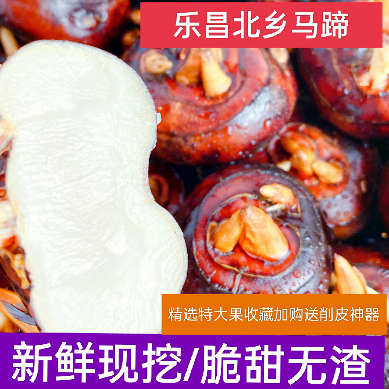 新鲜北乡马蹄脆甜无渣
