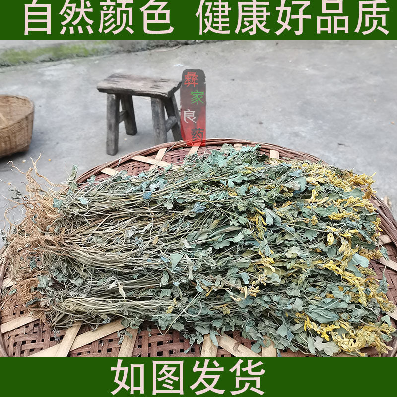 贵州岩黄莲正品草药野岩黄连崖黄连岩胡岩连菊花黄连土生中药材包