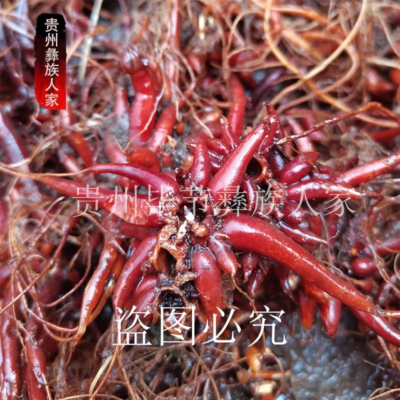 食用农产品贵州。贵州特产