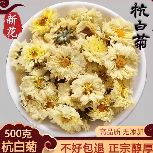 正品桐乡头茬新花杭白菊500g