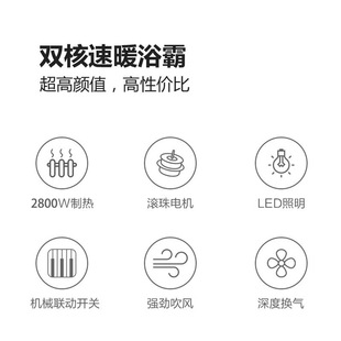 申花双核风暖浴霸灯多功能吹风集成吊顶排气换气扇照明一体暖风机