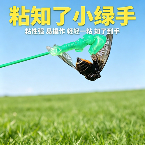 夏天捕蝉神器小手笑脸手掌粘圆球