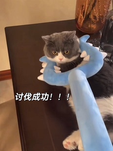 讨伐棒玩偶chiikawa吉伊卡哇小八乌萨奇逗猫棒抓猫咪狗狗毛绒玩具