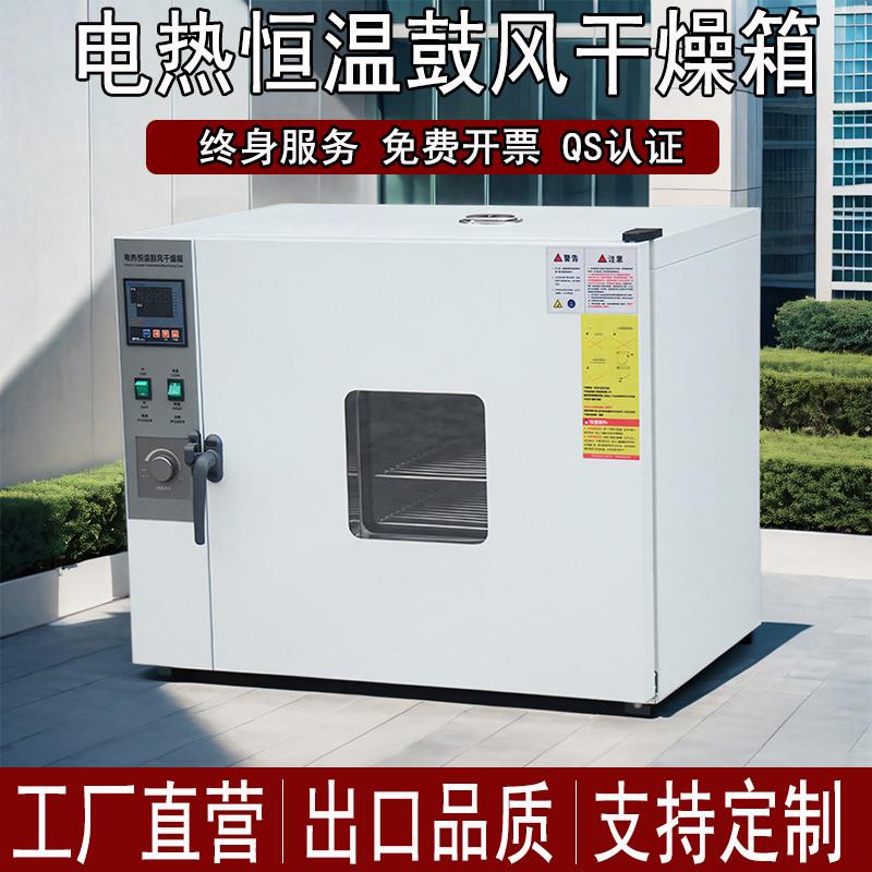 电热恒温鼓风干燥箱实验室老化试验箱烤箱高温烘箱小型工业烘干机