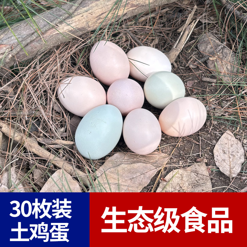 30枚茶果山松林土鸡蛋（生态蛋）农家 当日 新鲜食用