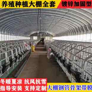 养猪大棚全套大棚钢管骨架搭建牛棚猪兔养鸡大鹏养殖棚架养羊大棚