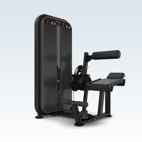 乔山VISION腹部背部训练器 VST600-S531家用健身房力量运动器材