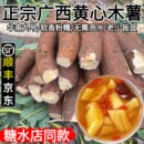 广西黄肉木薯新鲜蛋黄10斤黄心面包木薯糖水木薯羹板栗番薯粉糯