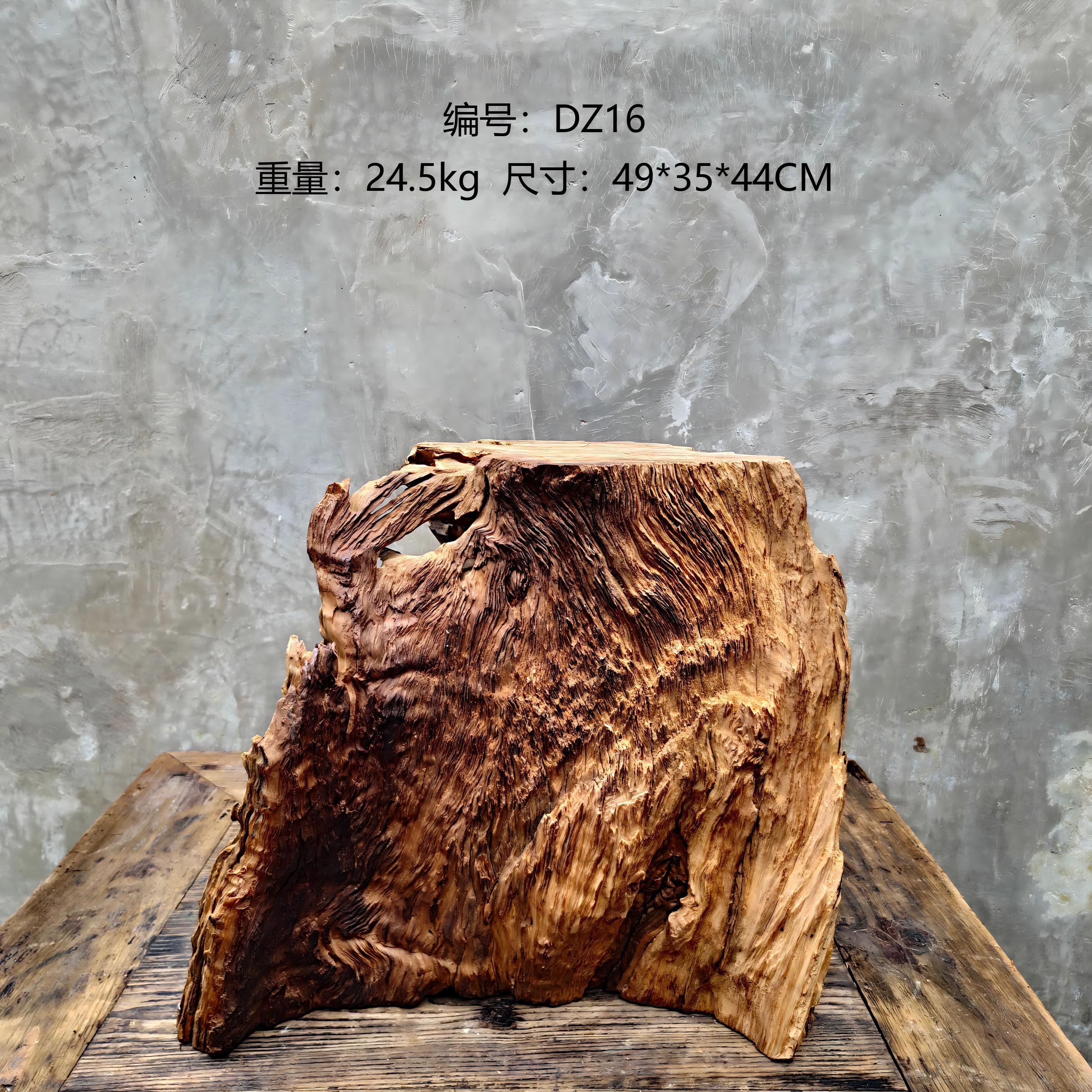 树根老树桩枯木风化木爬宠造景